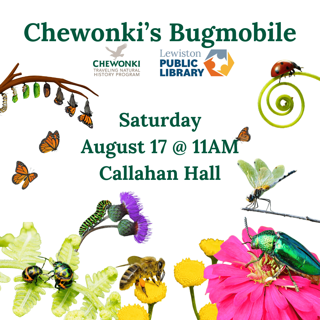 Graphic for Chewonki's Bugmobile program.