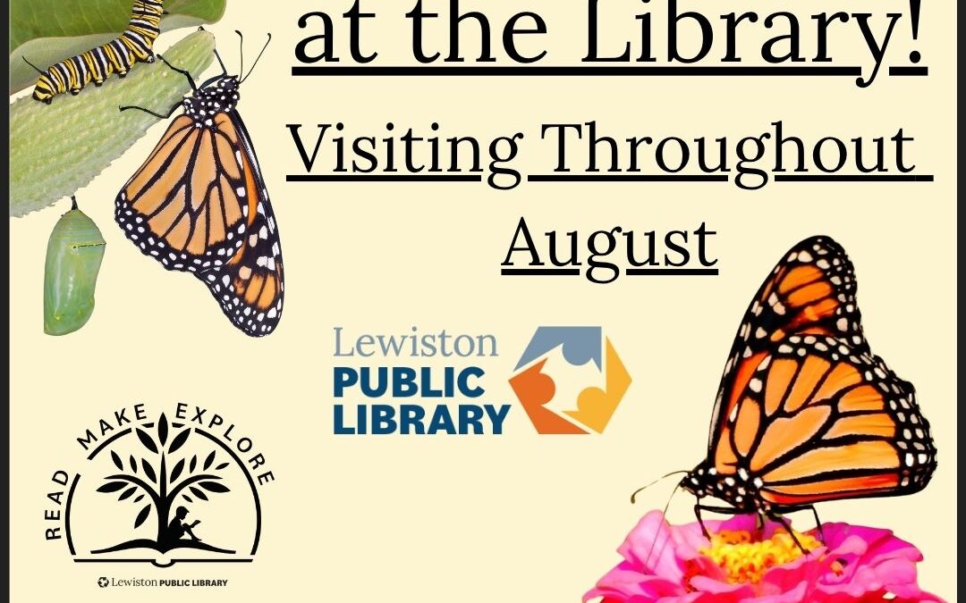 MONARCH BUTTERFLIES AT THE LEWISTON PUBLIC LIBRARY!