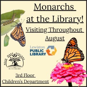 Graphics for the Monarchs at the Library programming.