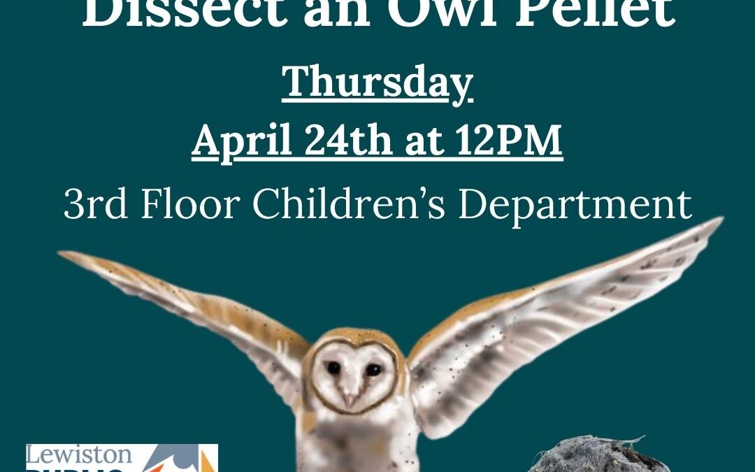 Spring Break STEM: Dissect an Owl Pellet!