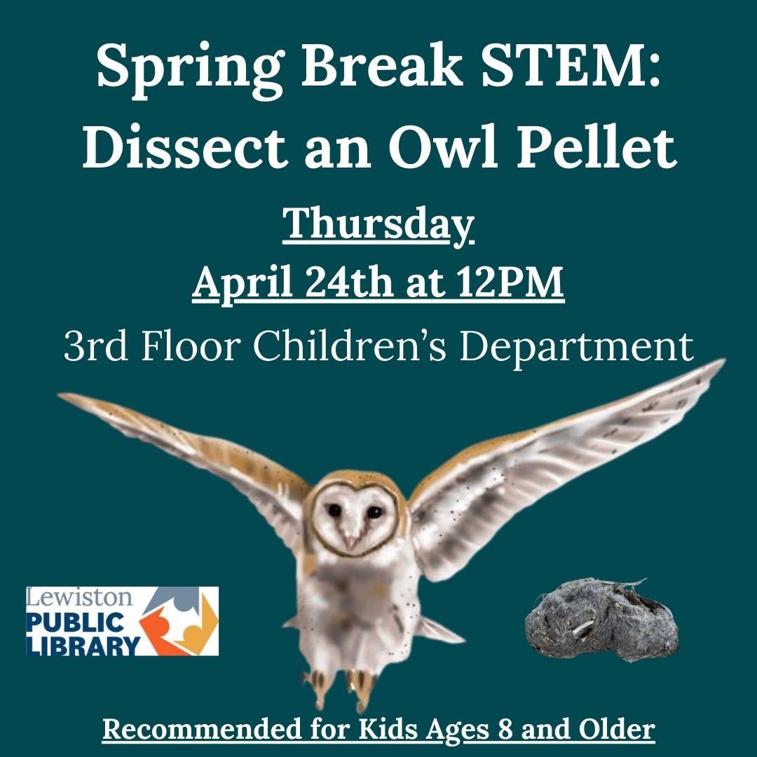 Graphic for Spring Break STEM: Dissect an Owl Pellet program.