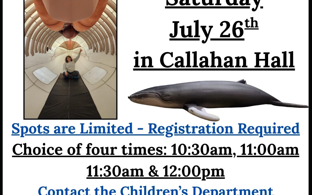 Within the Whale! 🐋